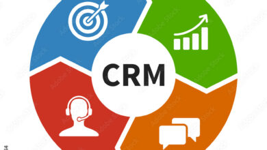 crm base de donnee
